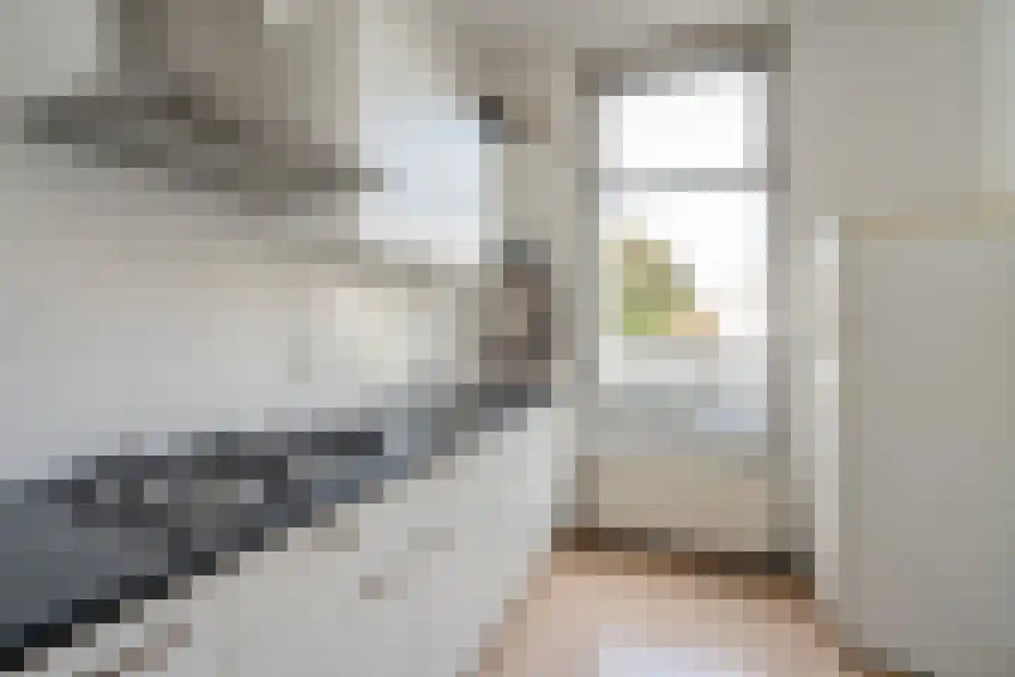 Jasmijnstraat 5 E Den Haag thumbnail 17