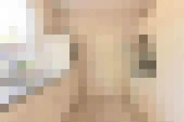 Jasmijnstraat 5 Odoorn thumbnail 30
