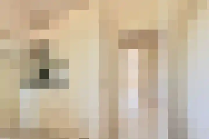 Jasmijnstraat 5 Odoorn thumbnail 33