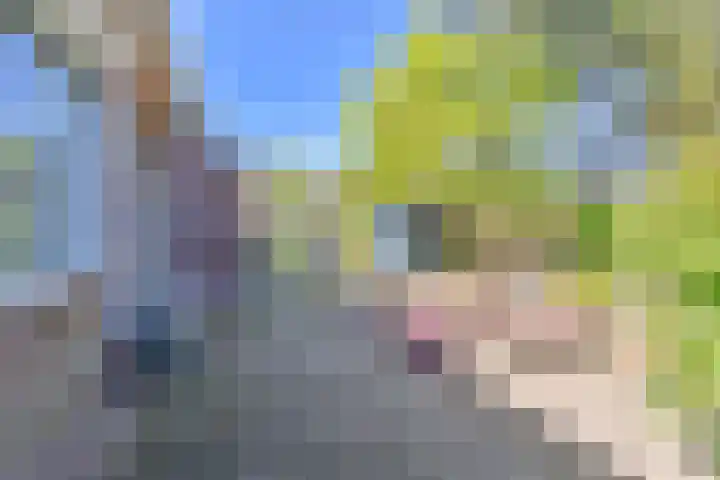 Jasmijnstraat 5 Odoorn thumbnail 69