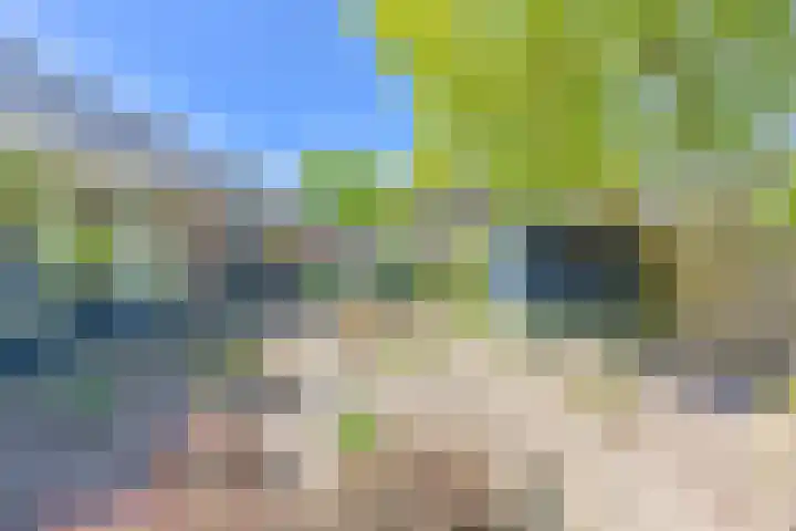 Jasmijnstraat 5 Odoorn thumbnail 70