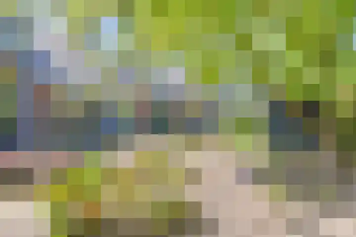 Jasmijnstraat 5 Odoorn thumbnail 72
