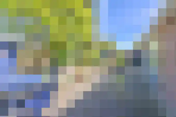 Jasmijnstraat 5 Odoorn thumbnail 74