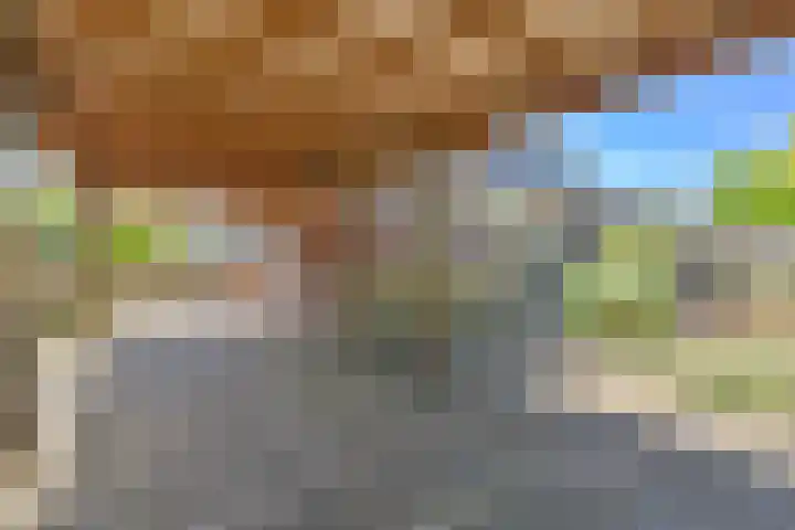 Jasmijnstraat 5 Odoorn thumbnail 76