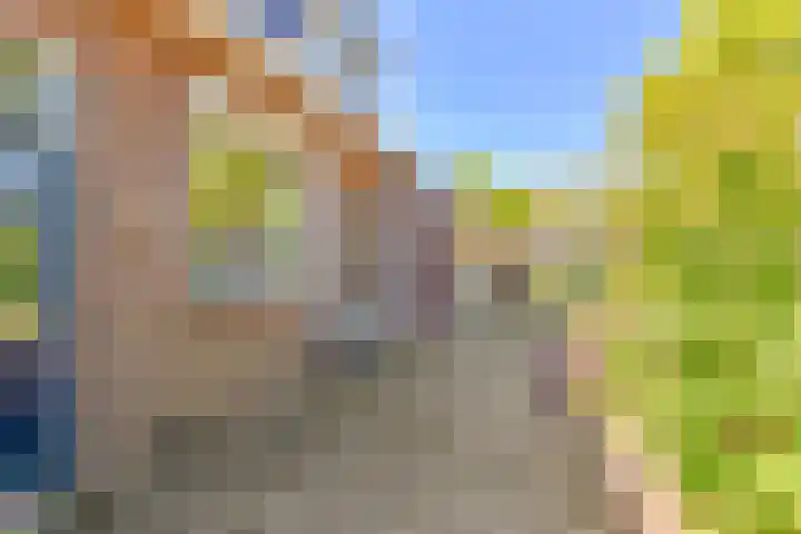 Jasmijnstraat 5 Odoorn thumbnail 78