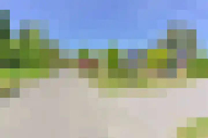 Jasmijnstraat 5 Odoorn thumbnail 85