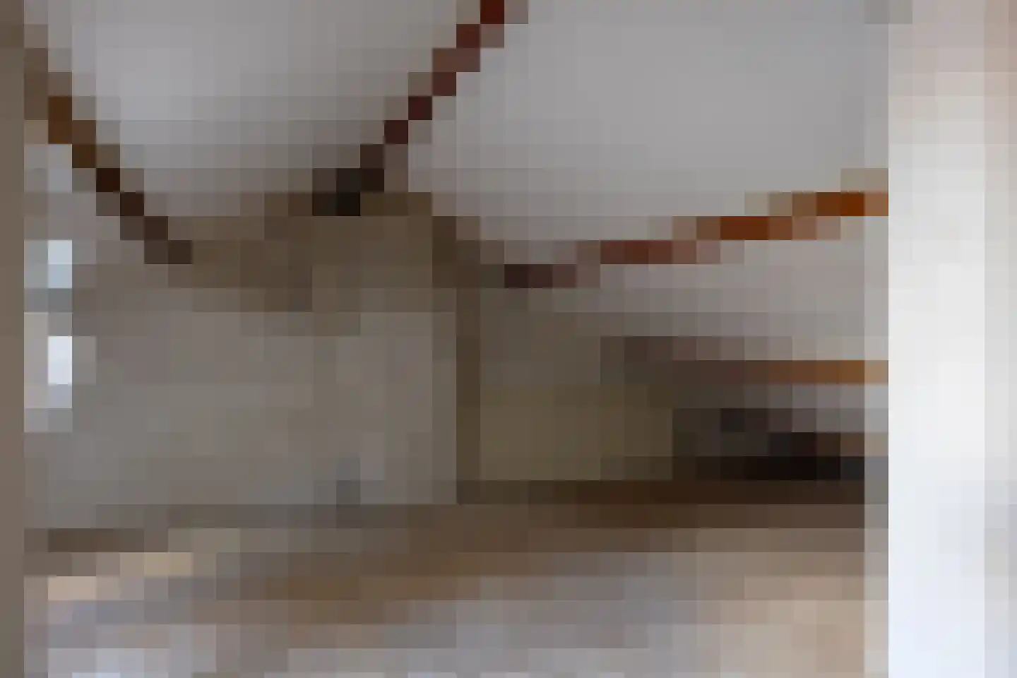 Jasmijnstraat 5 Siebengewald thumbnail 20