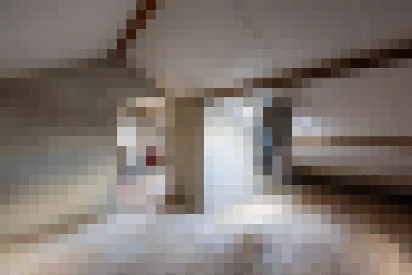 Jasmijnstraat 5 Siebengewald thumbnail 21