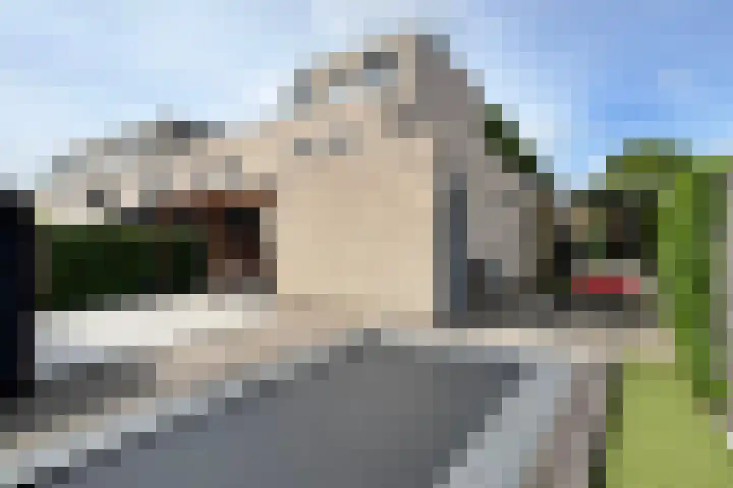Jasmijnstraat 50 Papendrecht thumbnail 32