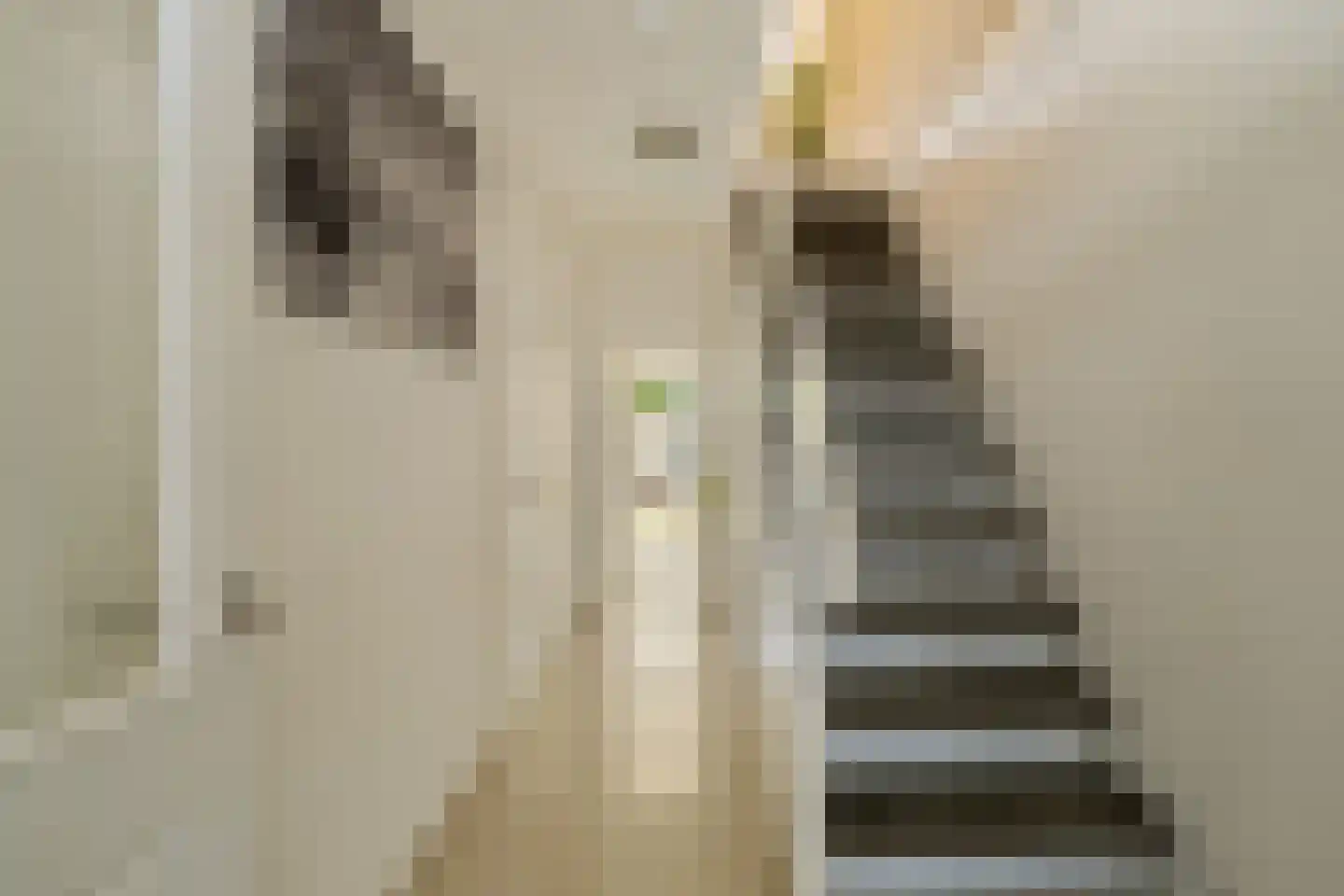 Jasmijnstraat 55 Ridderkerk thumbnail 12