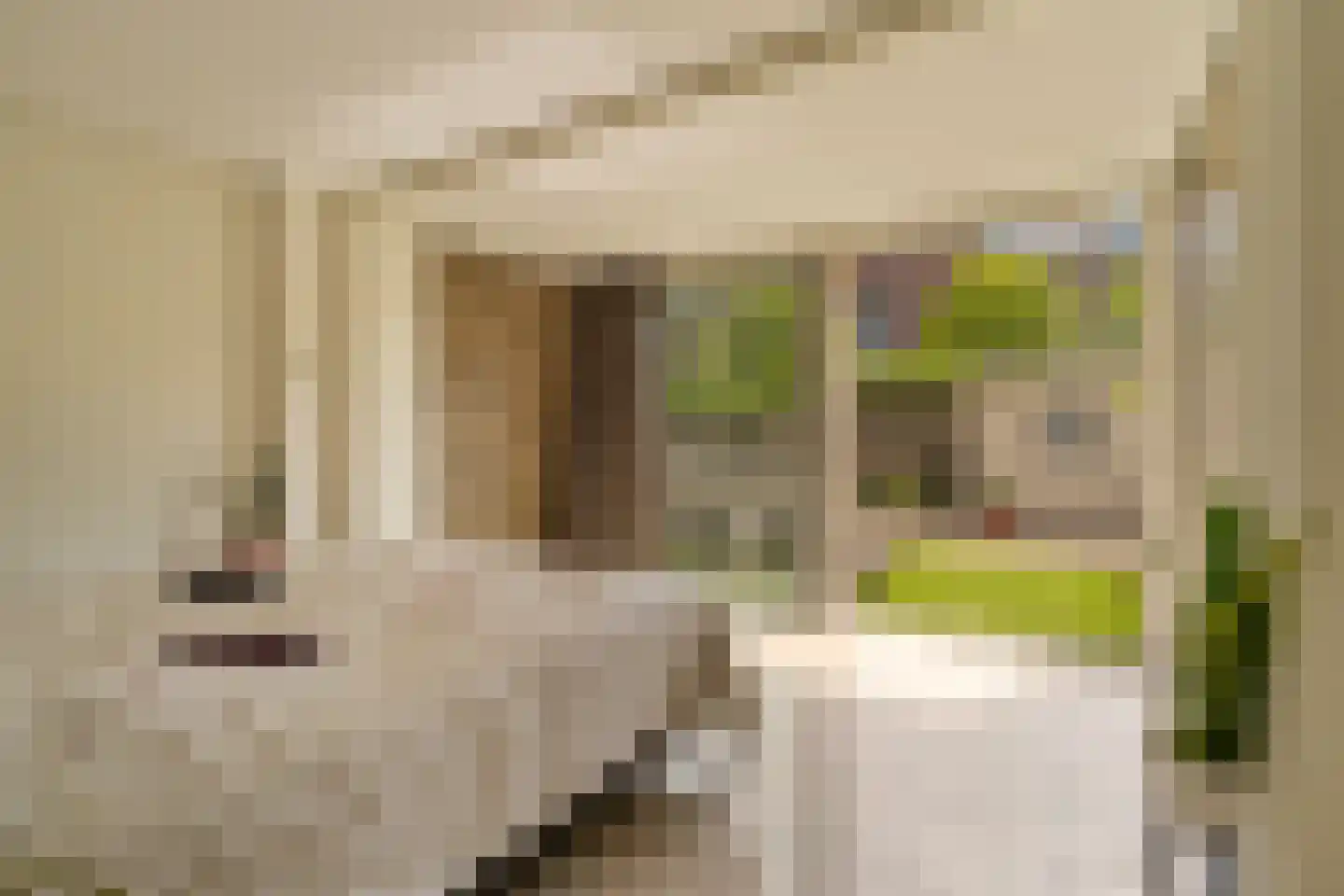 Jasmijnstraat 55 Ridderkerk thumbnail 13