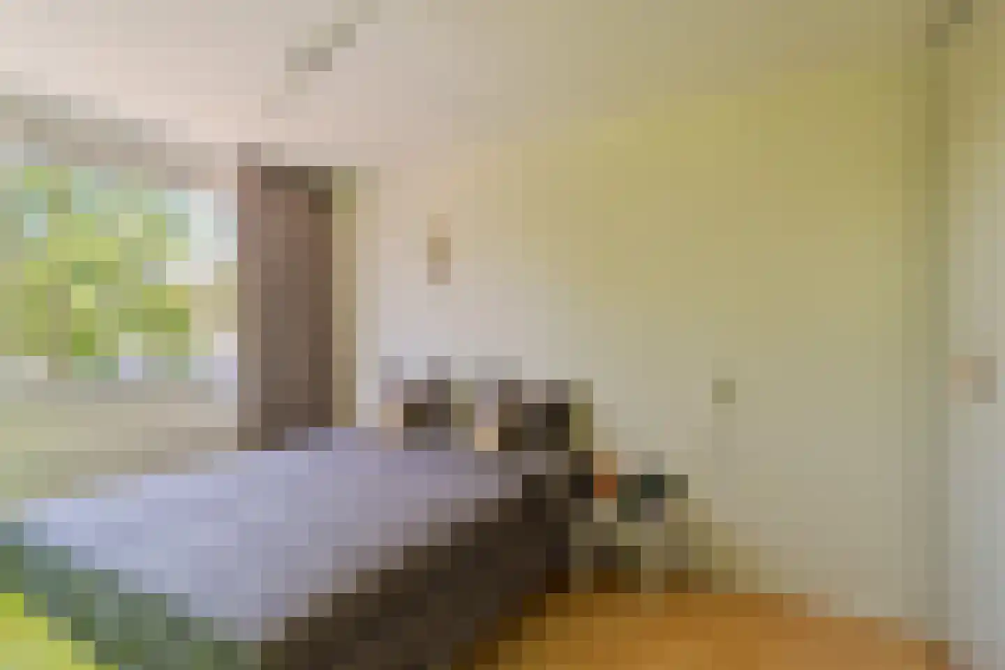 Jasmijnstraat 55 Ridderkerk thumbnail 21