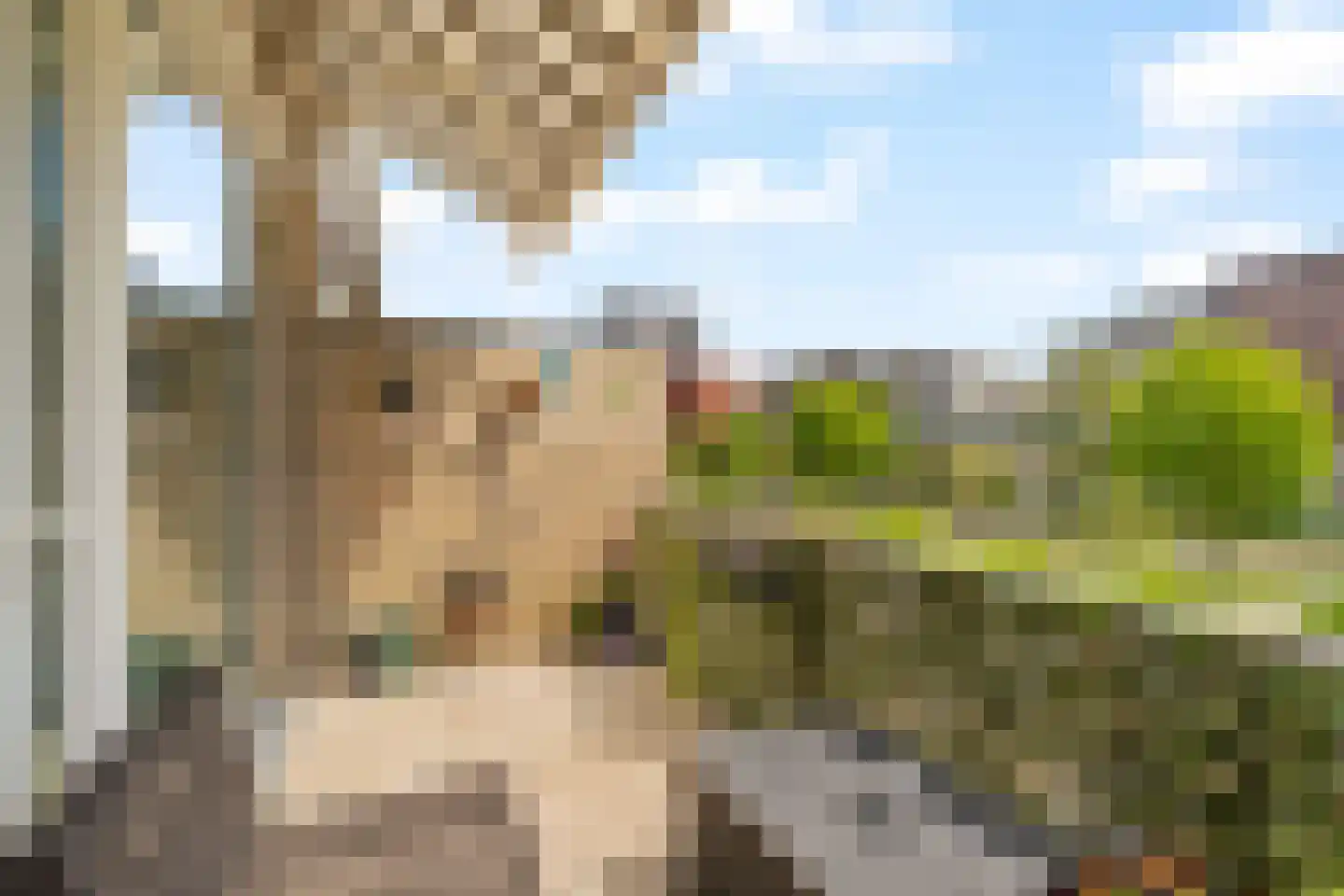Jasmijnstraat 55 Ridderkerk thumbnail 4