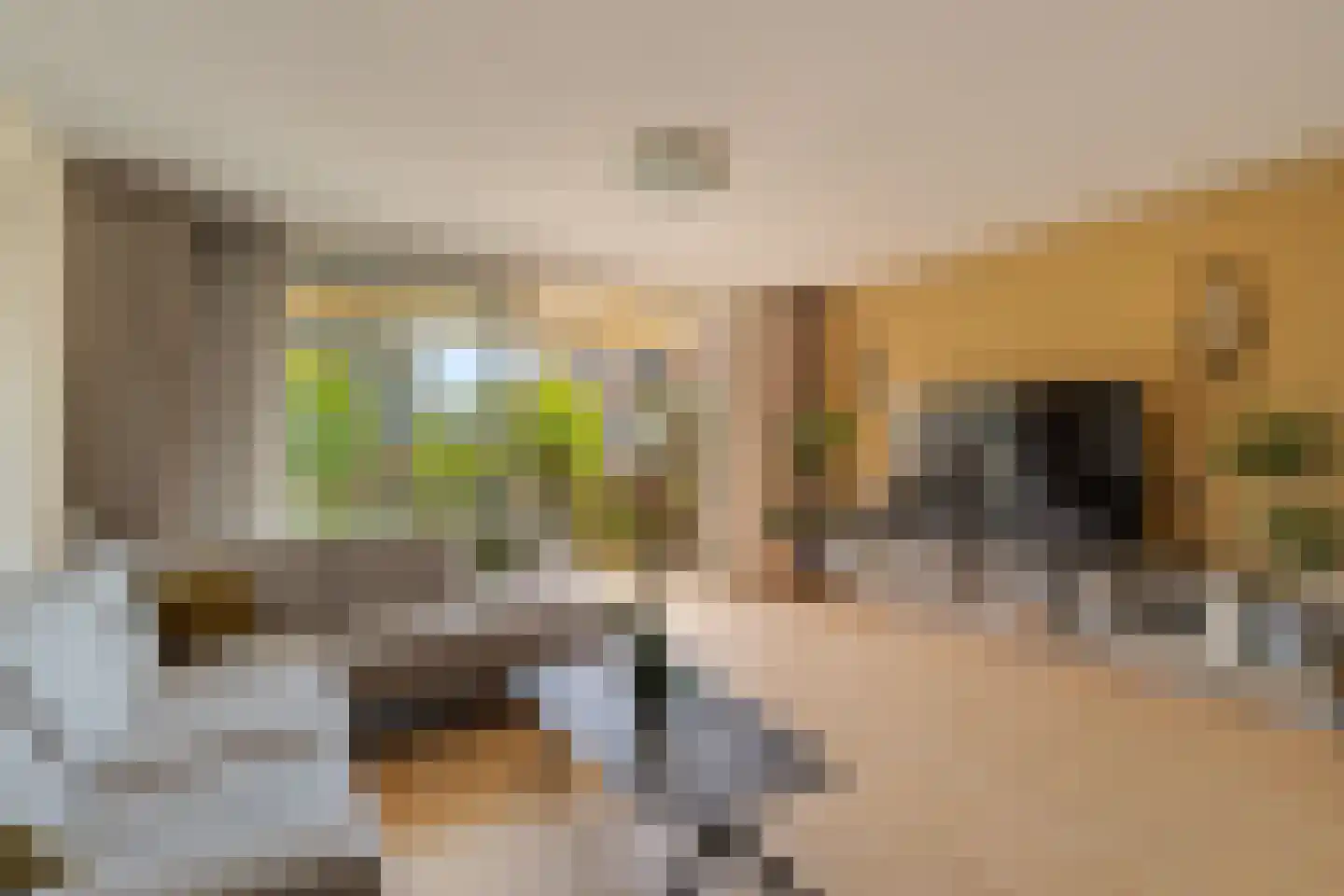 Jasmijnstraat 55 Ridderkerk thumbnail 8