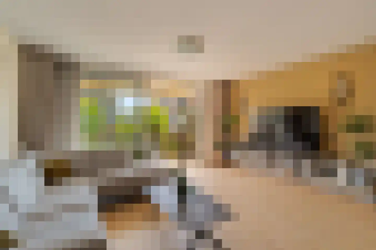 Jasmijnstraat 55 Ridderkerk thumbnail 8