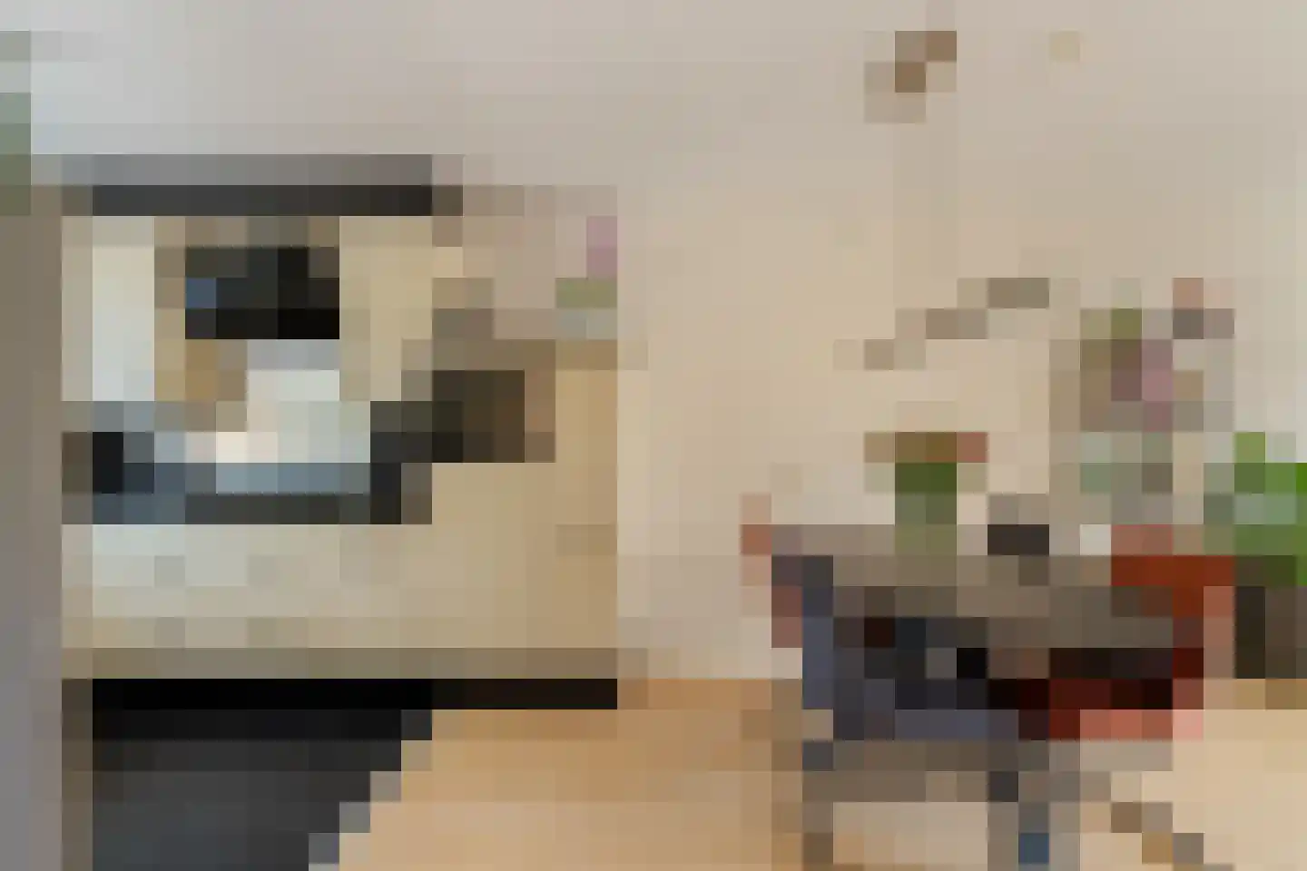 Jasmijnstraat 55 Ridderkerk thumbnail 9