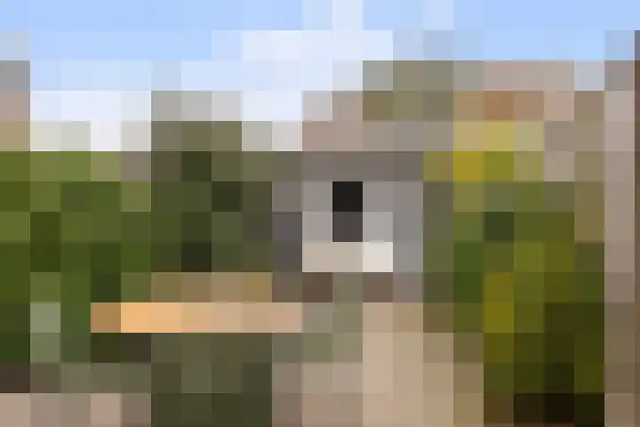 Jasmijnstraat 56 De Bilt thumbnail 11