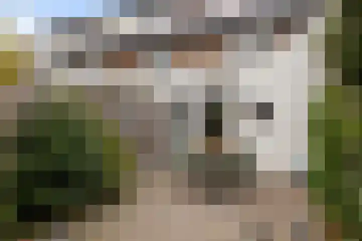 Jasmijnstraat 56 De Bilt thumbnail 13