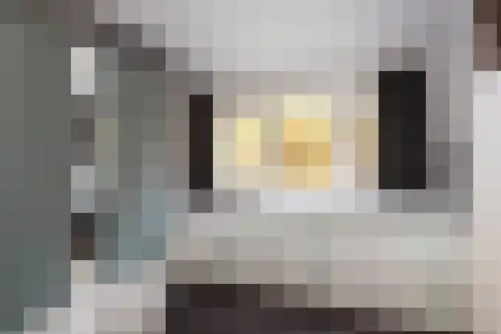 Jasmijnstraat 56 De Bilt thumbnail 18
