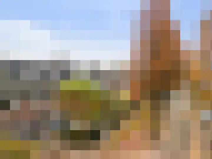 Jasmijnstraat 56 De Bilt thumbnail 27