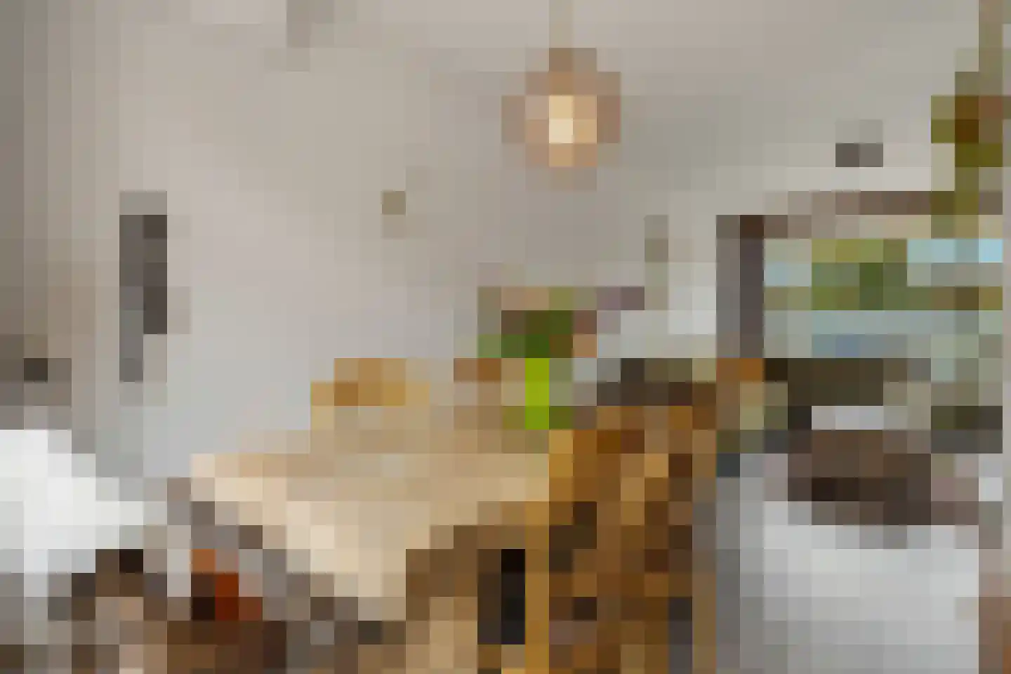 Jasmijnstraat 6 Nijmegen thumbnail 12