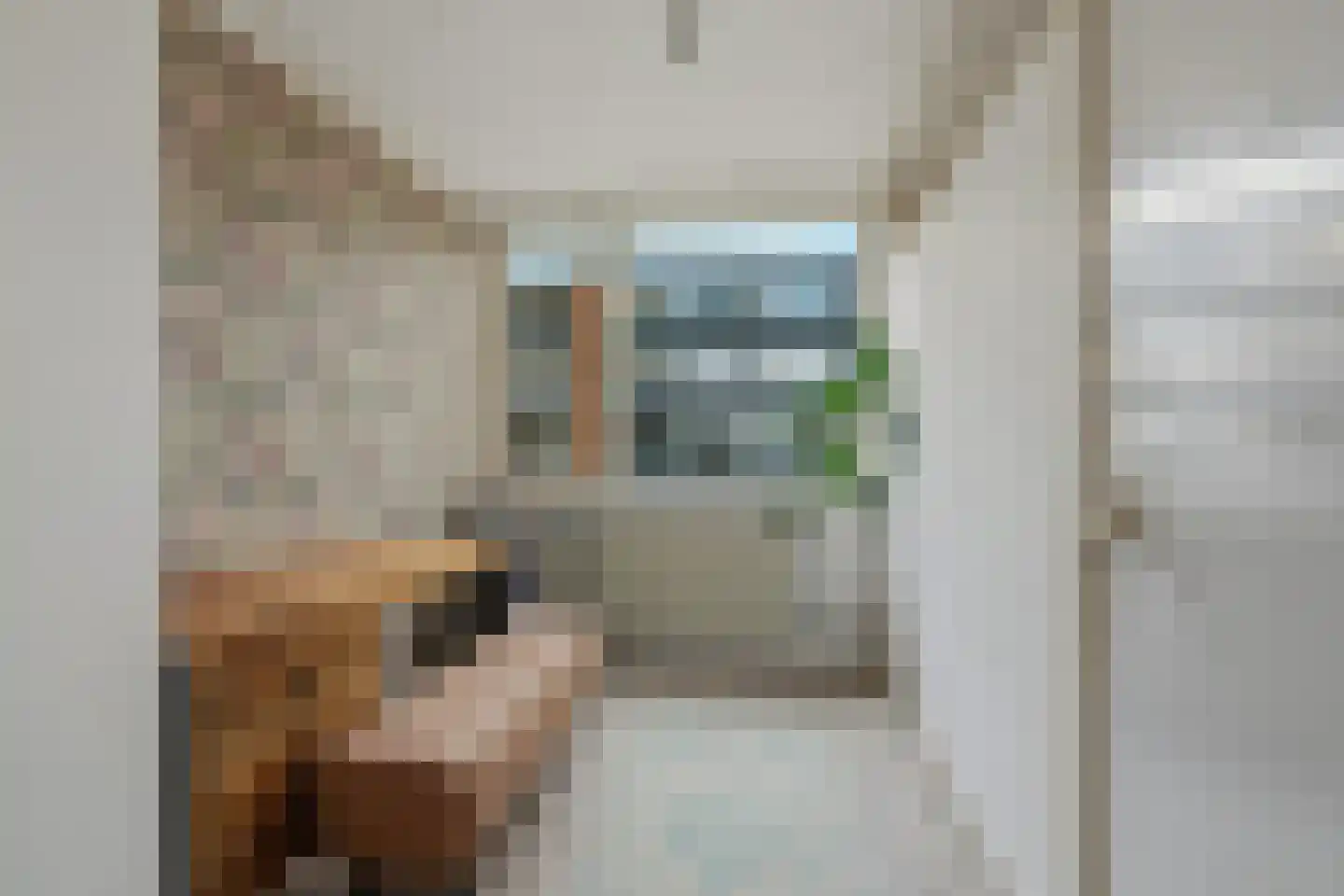 Jasmijnstraat 6 Nijmegen thumbnail 20