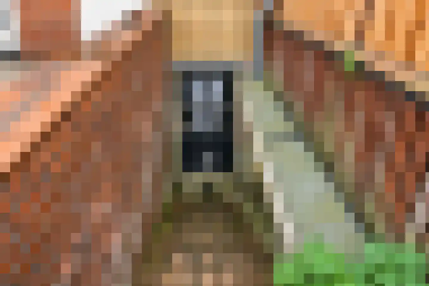 Jasmijnstraat 6 Nijmegen thumbnail 29