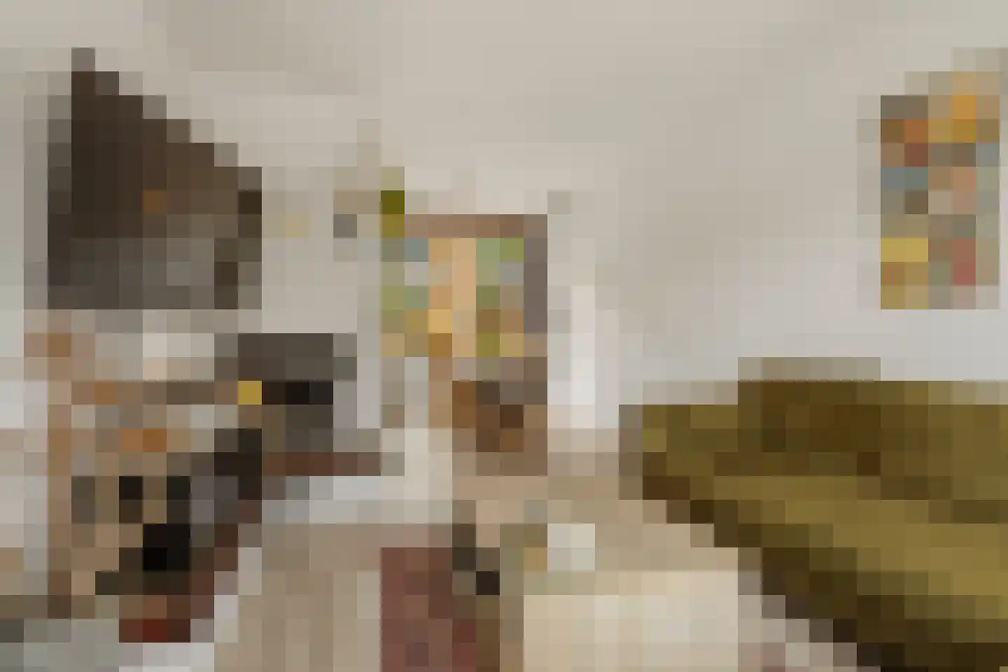 Jasmijnstraat 6 Nijmegen thumbnail 7