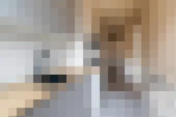 Jasmijnstraat 60 Den Haag thumbnail 8
