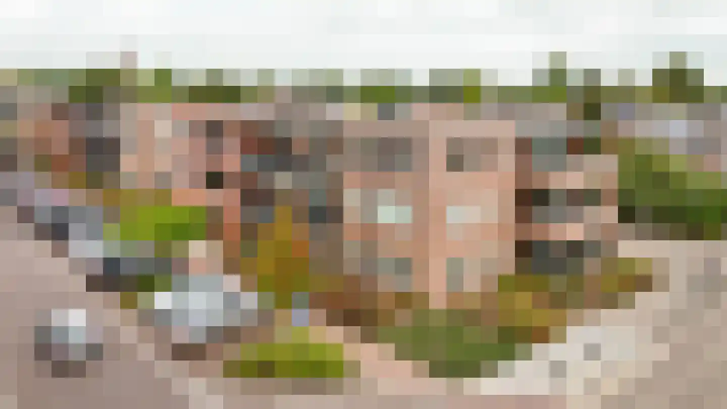 Jasmijnstraat 64 Wijk en Aalburg thumbnail 29