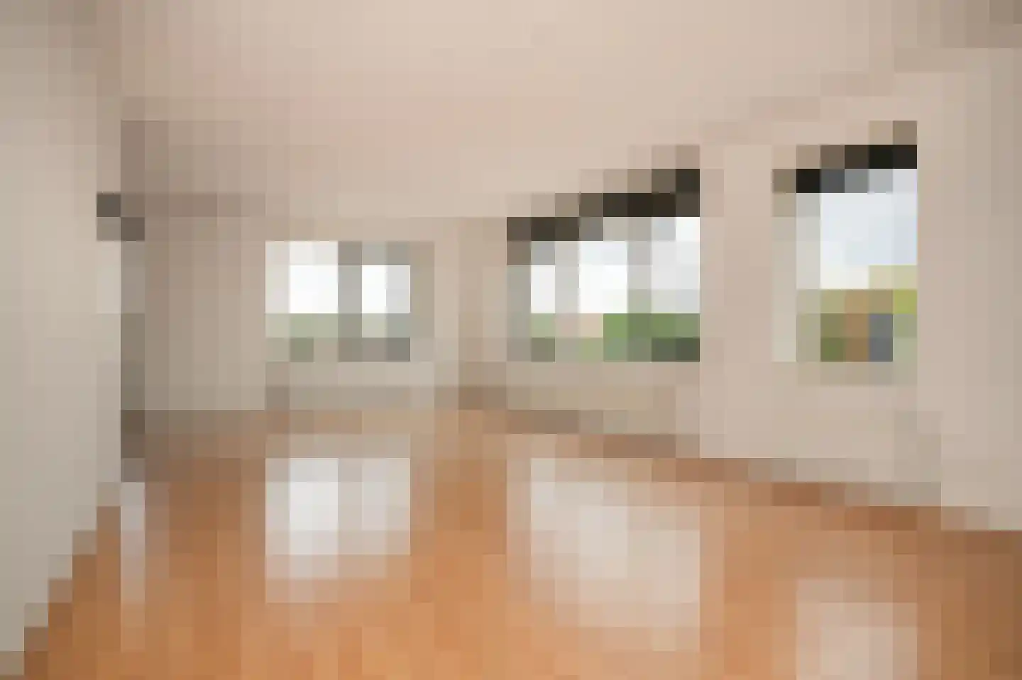 Jasmijnstraat 64 Wijk en Aalburg thumbnail 5