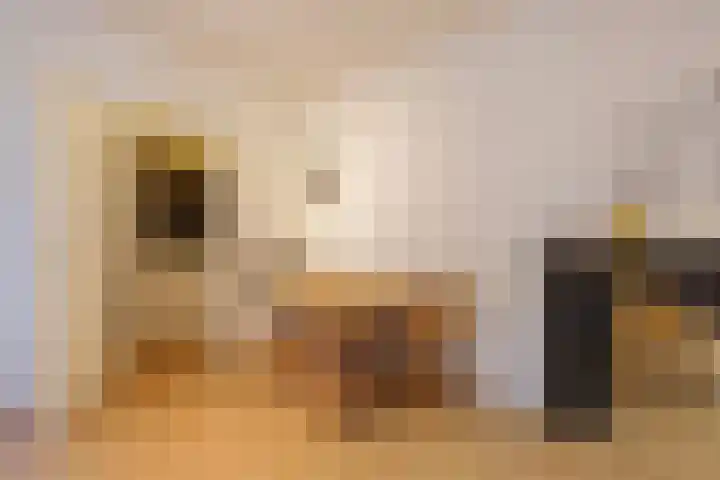 Jasmijnstraat 66 Den Haag thumbnail 7