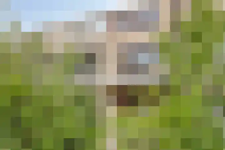 Jasmijnstraat 67 Ridderkerk thumbnail 23