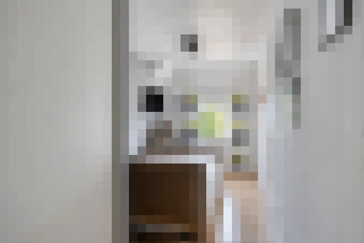 Jasmijnstraat 7 Heesch thumbnail 20