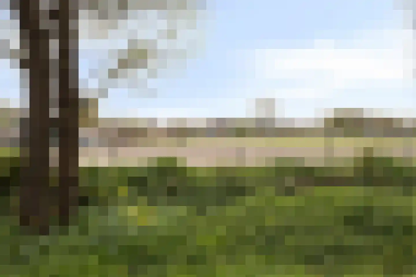 Jasmijnstraat 7 Heesch thumbnail 32