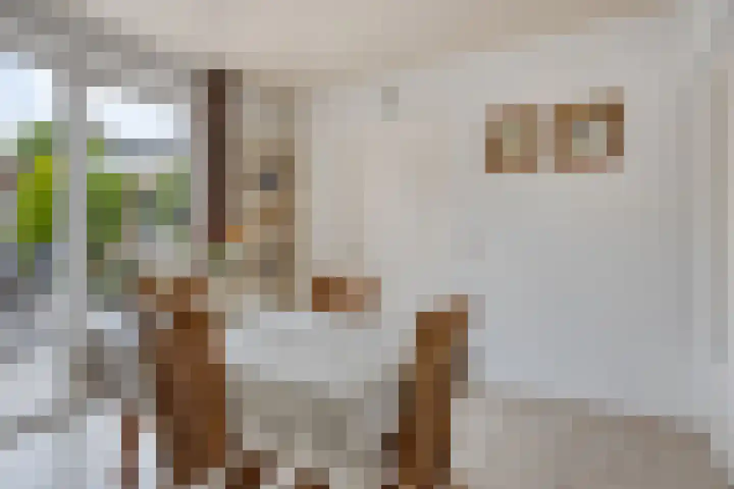 Jasmijnstraat 7 Heesch thumbnail 8