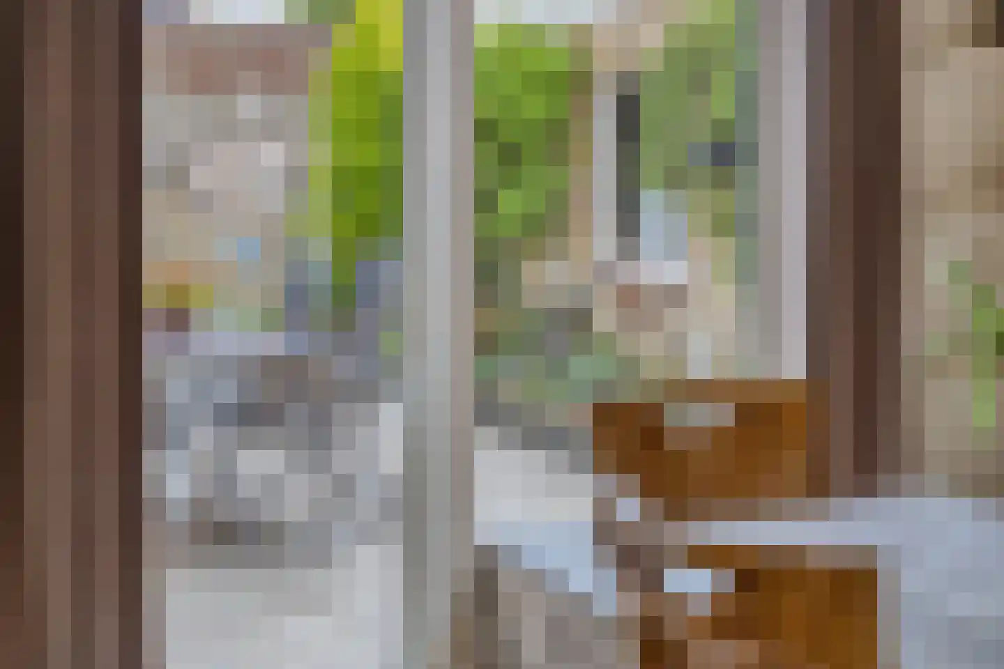 Jasmijnstraat 7 Heesch thumbnail 9
