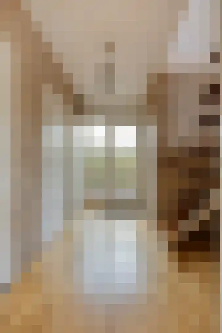 Jasmijnstraat 7 Vaassen thumbnail 18