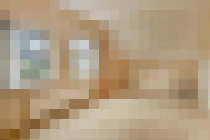 Jasmijnstraat 7 Vaassen thumbnail 25