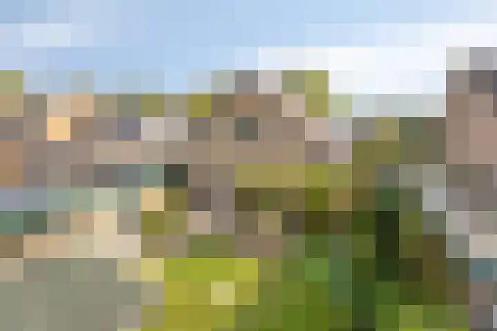 Jasmijnstraat 7 Vaassen thumbnail 27