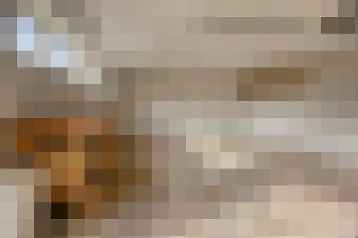 Jasmijnstraat 7 Vaassen thumbnail 32