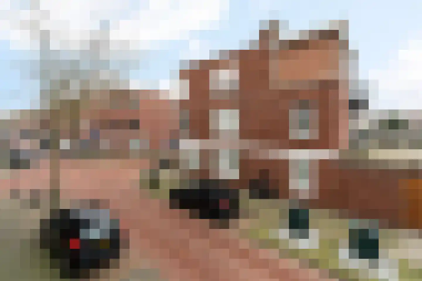 Jasmijnstraat 73 Den Haag thumbnail 20
