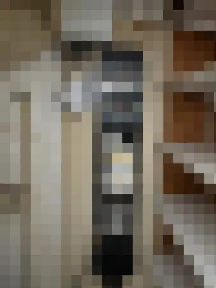 Jasmijnstraat 73 Papendrecht thumbnail 8