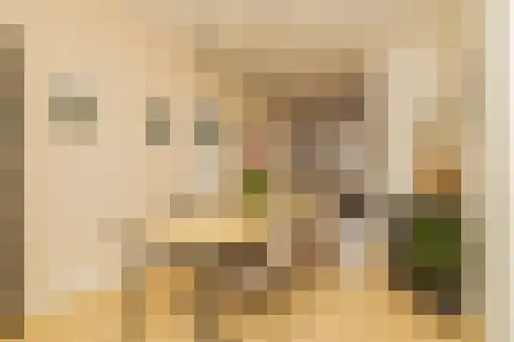 Jasmijnstraat 8 Den Haag thumbnail 8