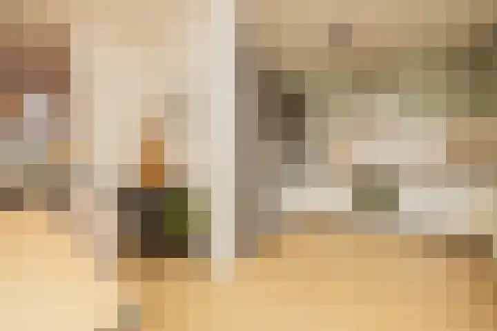 Jasmijnstraat 8 Den Haag thumbnail 9