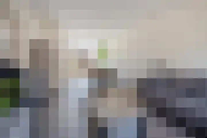 Jasmijnstraat 80 Asten thumbnail 7