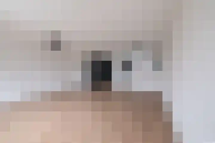 Jasmijnstraat 9 Leerdam thumbnail 13