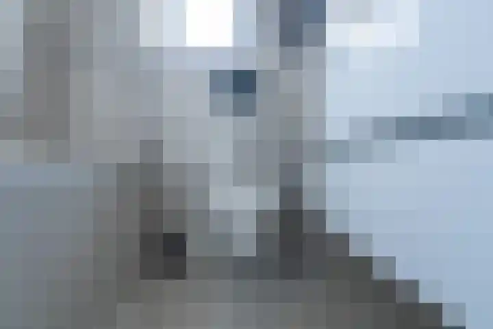 Jasmijnstraat 9 Leerdam thumbnail 30