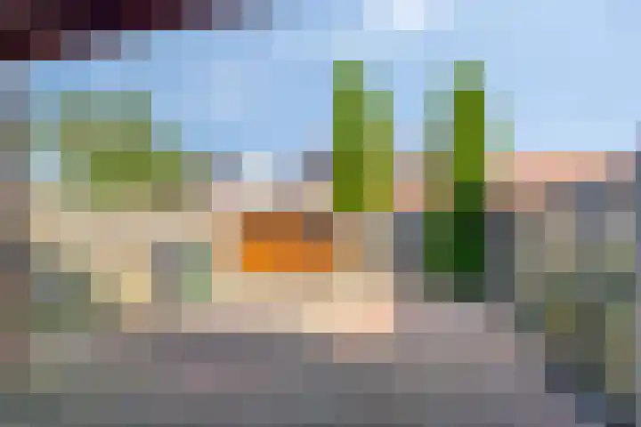 Jasmijnstraat 9 Musselkanaal thumbnail 5