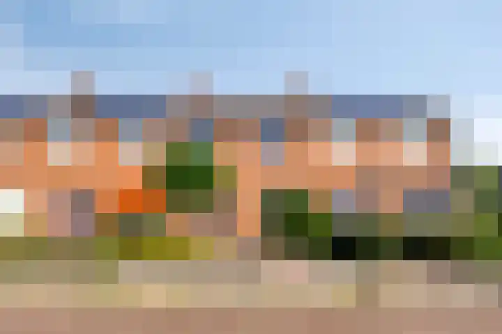 Jasmijnstraat 9 Musselkanaal thumbnail 7